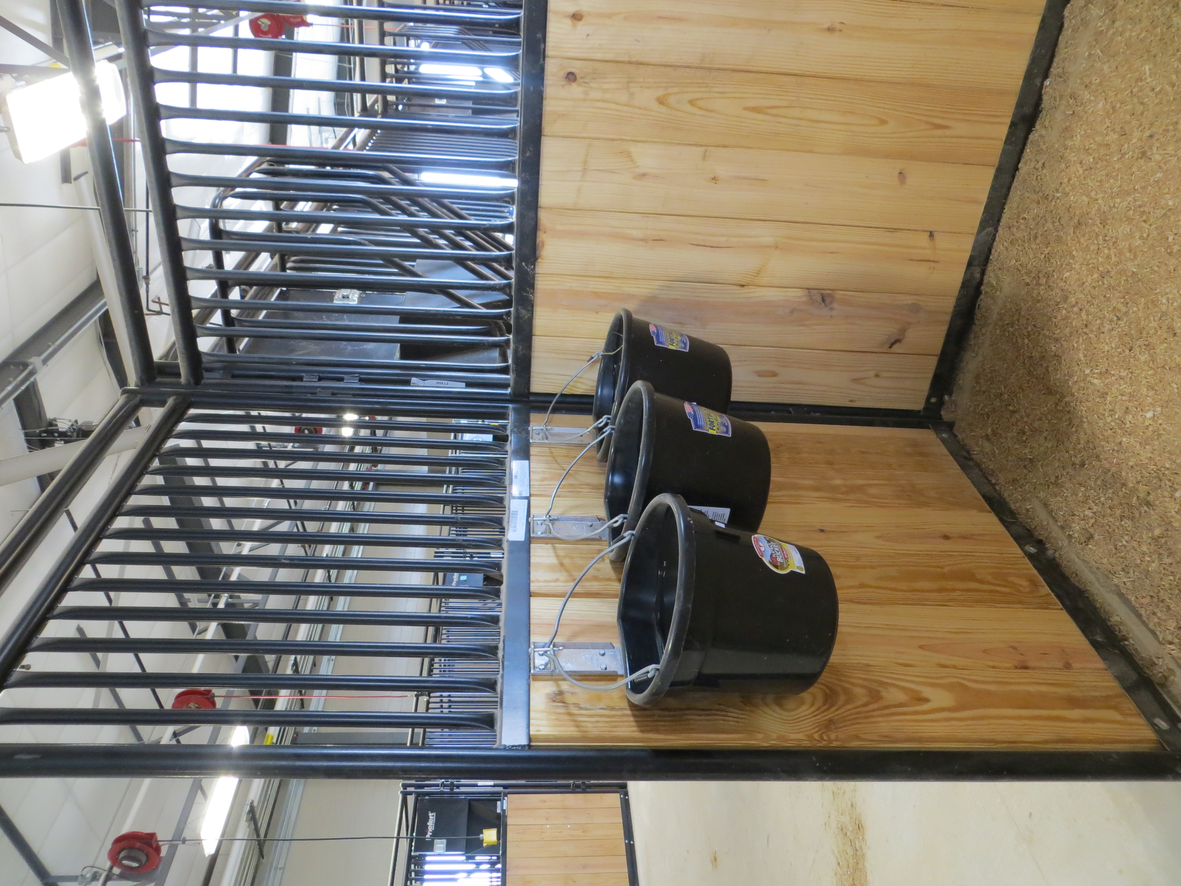 Mounted Patrol 05.JPG